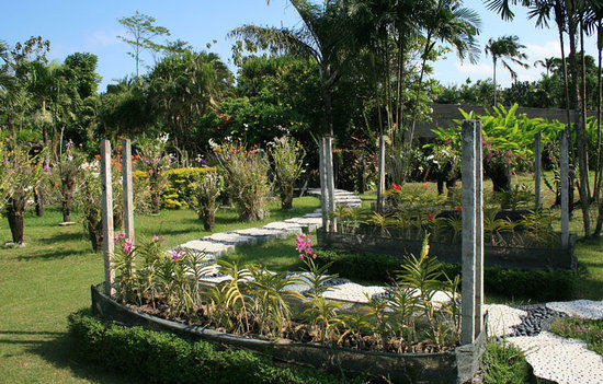 Bali Orchid Garden